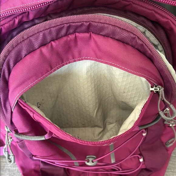 Osprey Axis Backpack in Deep Plum - Picture 12 of 14